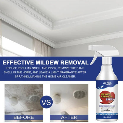 🦠Powerful Mold Remover Spray – Destroys Mold & Stops It from Coming Back
