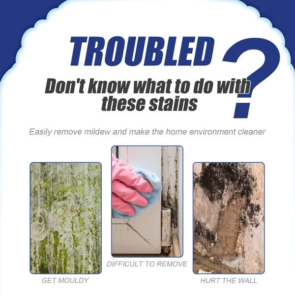 🦠Powerful Mold Remover Spray – Destroys Mold & Stops It from Coming Back